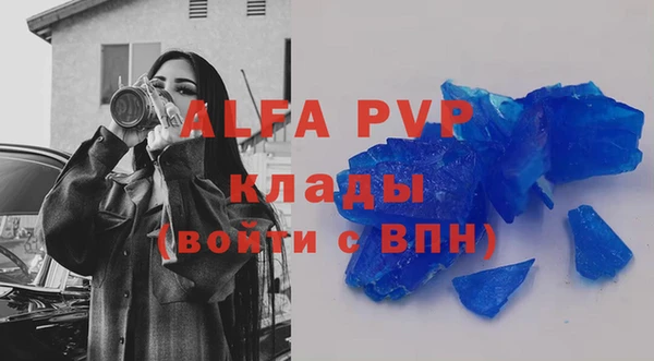 стаф Новозыбков