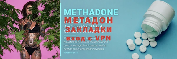 стаф Новозыбков