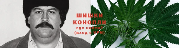 стаф Новозыбков