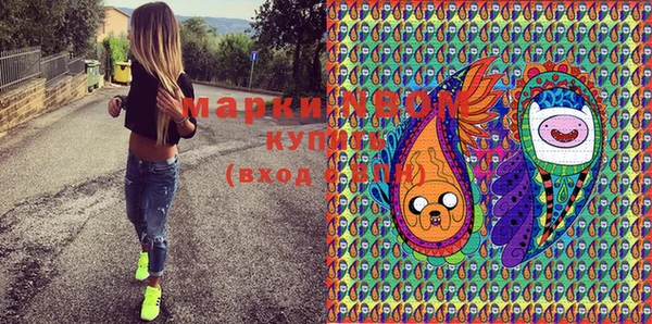 стаф Новозыбков