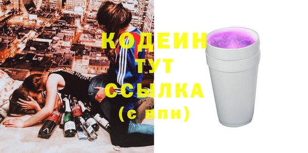 стаф Новозыбков