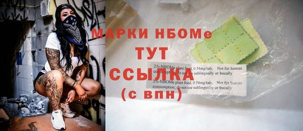 стаф Новозыбков