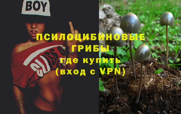 стаф Новозыбков