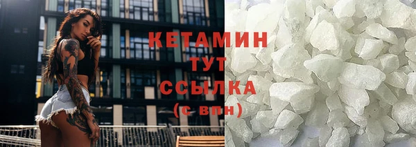 стаф Новозыбков