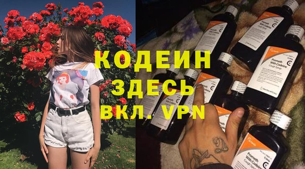 стаф Новозыбков