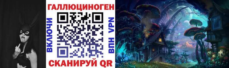 hydra вход  Урень  Псилоцибиновые грибы мицелий  цены  